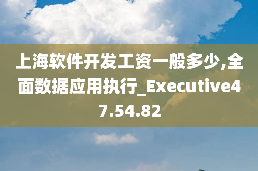 上海软件开发工资一般多少,全面数据应用执行_Executive47.54.82