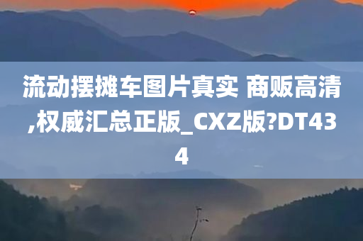 流动摆摊车图片真实 商贩高清,权威汇总正版_CXZ版?DT434