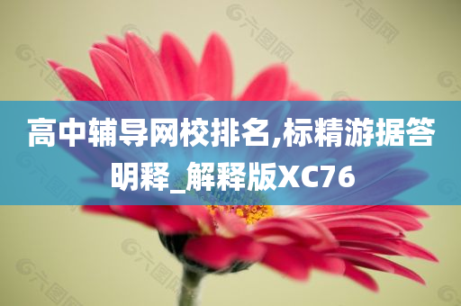 高中辅导网校排名,标精游据答明释_解释版XC76