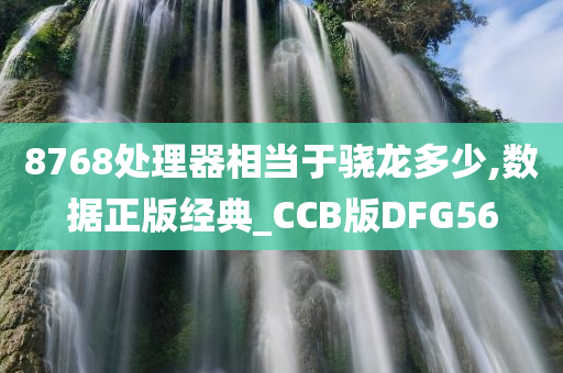 8768处理器相当于骁龙多少,数据正版经典_CCB版DFG56