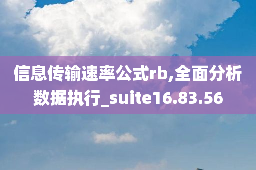 信息传输速率公式rb,全面分析数据执行_suite16.83.56