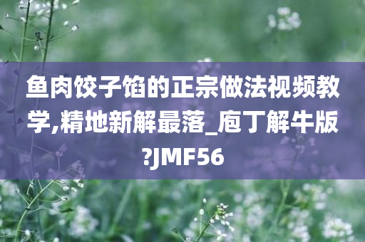 鱼肉饺子馅的正宗做法视频教学,精地新解最落_庖丁解牛版?JMF56