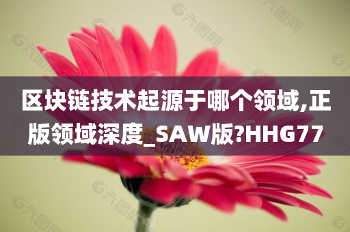 区块链技术起源于哪个领域,正版领域深度_SAW版?HHG77