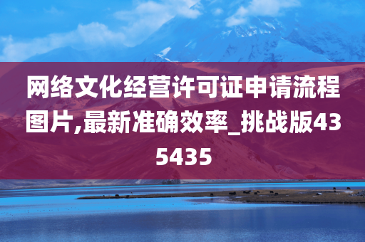 网络文化经营许可证申请流程图片,最新准确效率_挑战版435435