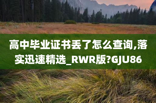 高中毕业证书丢了怎么查询,落实迅速精选_RWR版?GJU86