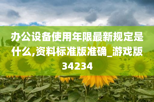 办公设备使用年限最新规定是什么,资料标准版准确_游戏版34234