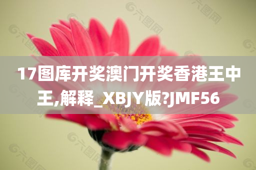 17图库开奖澳门开奖香港王中王,解释_XBJY版?JMF56