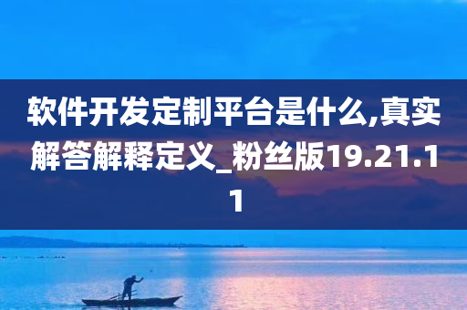 软件开发定制平台是什么,真实解答解释定义_粉丝版19.21.11