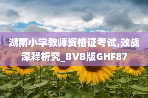 湖南小学教师资格证考试,效战深释析究_BVB版GHF87