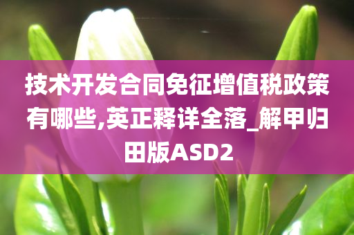 技术开发合同免征增值税政策有哪些,英正释详全落_解甲归田版ASD2