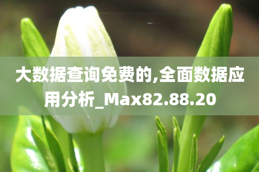 大数据查询免费的,全面数据应用分析_Max82.88.20