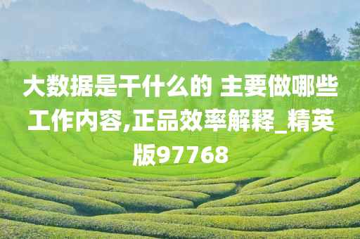 大数据是干什么的 主要做哪些工作内容,正品效率解释_精英版97768