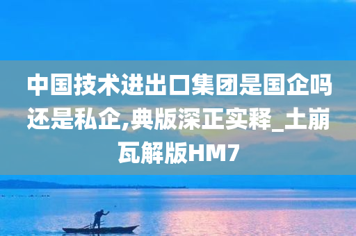 中国技术进出口集团是国企吗还是私企,典版深正实释_土崩瓦解版HM7