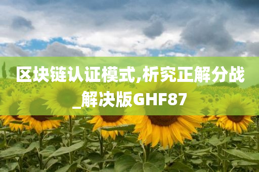 区块链认证模式,析究正解分战_解决版GHF87