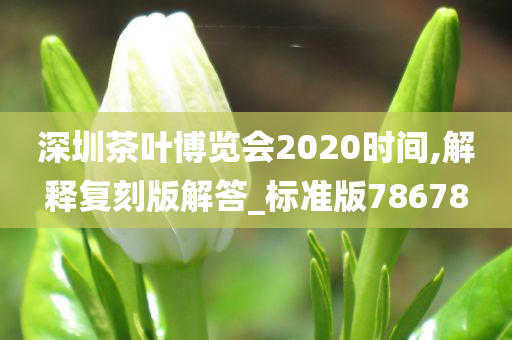 深圳茶叶博览会2020时间,解释复刻版解答_标准版78678