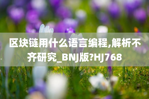 区块链用什么语言编程,解析不齐研究_BNJ版?HJ768