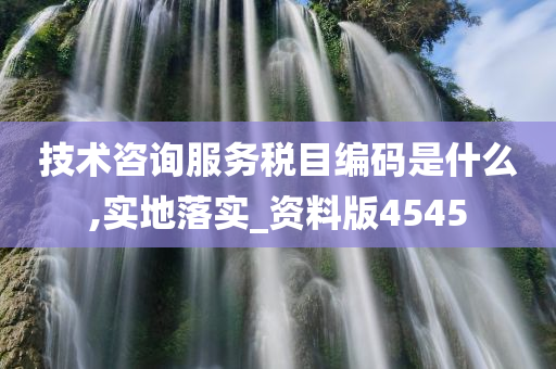 技术咨询服务税目编码是什么,实地落实_资料版4545