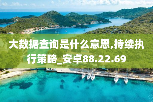 大数据查询是什么意思,持续执行策略_安卓88.22.69