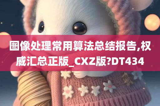 图像处理常用算法总结报告,权威汇总正版_CXZ版?DT434