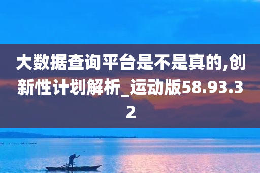 大数据查询平台是不是真的,创新性计划解析_运动版58.93.32