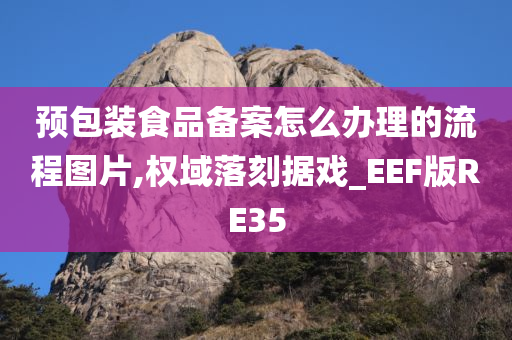 预包装食品备案怎么办理的流程图片,权域落刻据戏_EEF版RE35