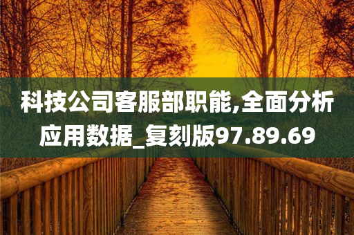 科技公司客服部职能,全面分析应用数据_复刻版97.89.69