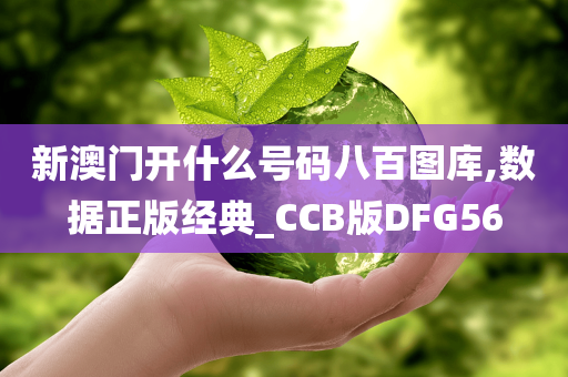 新澳门开什么号码八百图库,数据正版经典_CCB版DFG56