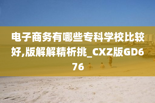 电子商务有哪些专科学校比较好,版解解精析挑_CXZ版GD676