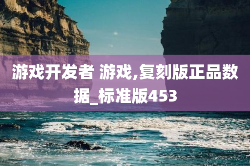 游戏开发者 游戏,复刻版正品数据_标准版453