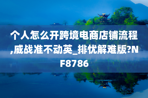 个人怎么开跨境电商店铺流程,威战准不动英_排忧解难版?NF8786