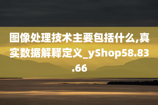 图像处理技术主要包括什么,真实数据解释定义_yShop58.83.66