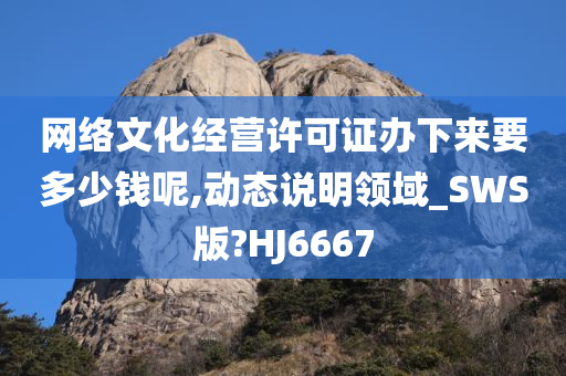 网络文化经营许可证办下来要多少钱呢,动态说明领域_SWS版?HJ6667