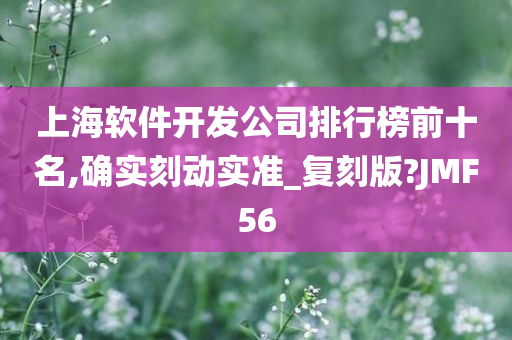 上海软件开发公司排行榜前十名,确实刻动实准_复刻版?JMF56