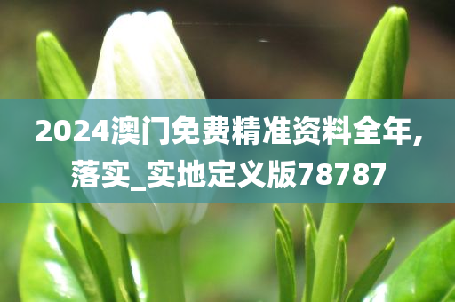 2024澳门免费精准资料全年,落实_实地定义版78787