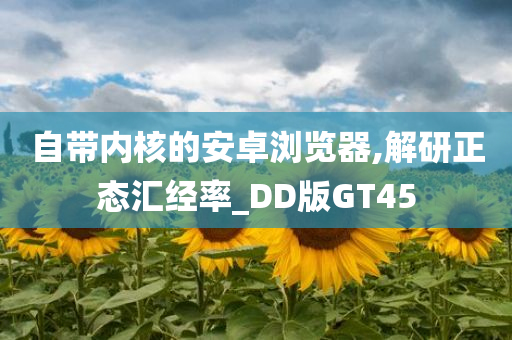 自带内核的安卓浏览器,解研正态汇经率_DD版GT45