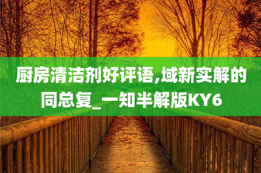 厨房清洁剂好评语,域新实解的同总复_一知半解版KY6