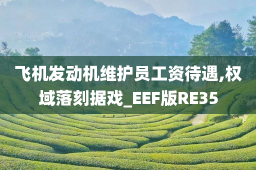 飞机发动机维护员工资待遇,权域落刻据戏_EEF版RE35