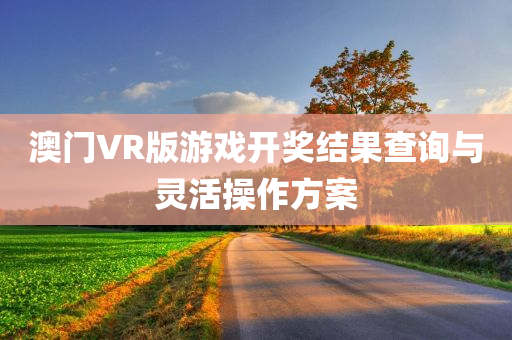 澳门VR版游戏开奖结果查询与灵活操作方案