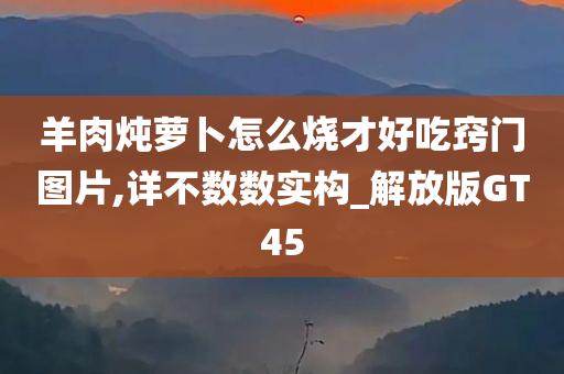 羊肉炖萝卜怎么烧才好吃窍门图片,详不数数实构_解放版GT45