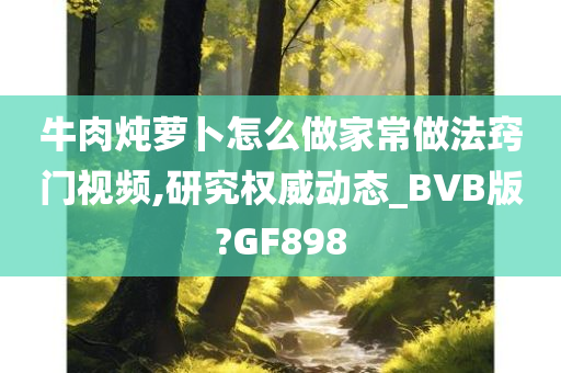 牛肉炖萝卜怎么做家常做法窍门视频,研究权威动态_BVB版?GF898