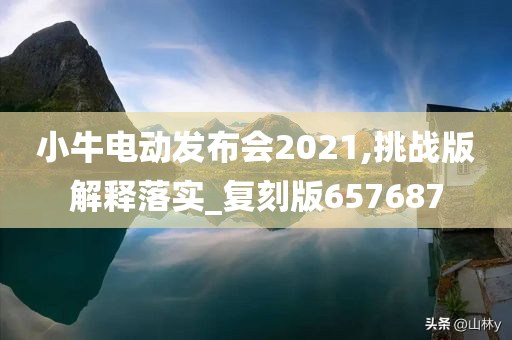 小牛电动发布会2021,挑战版解释落实_复刻版657687