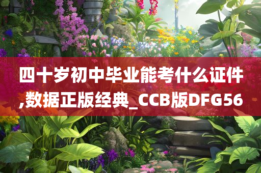 四十岁初中毕业能考什么证件,数据正版经典_CCB版DFG56