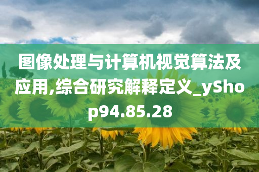 图像处理与计算机视觉算法及应用,综合研究解释定义_yShop94.85.28