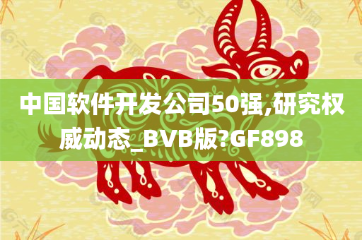 中国软件开发公司50强,研究权威动态_BVB版?GF898