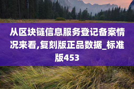 从区块链信息服务登记备案情况来看,复刻版正品数据_标准版453