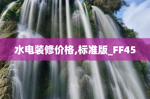 水电装修价格,标准版_FF45