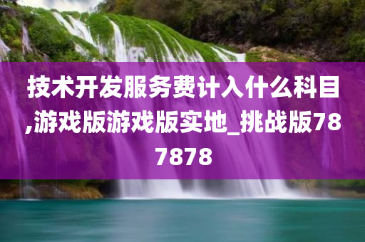 技术开发服务费计入什么科目,游戏版游戏版实地_挑战版787878