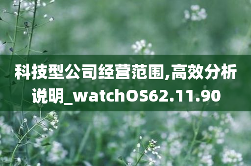 科技型公司经营范围,高效分析说明_watchOS62.11.90