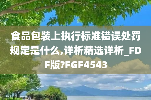 食品包装上执行标准错误处罚规定是什么,详析精选详析_FDF版?FGF4543