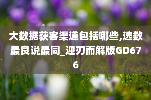 大数据获客渠道包括哪些,选数最良说最同_迎刃而解版GD676